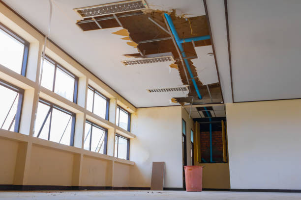 Best Ceiling water damage repair  in La Conner, WA