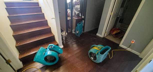 Best Water damage restoration near me  in La Conner, WA