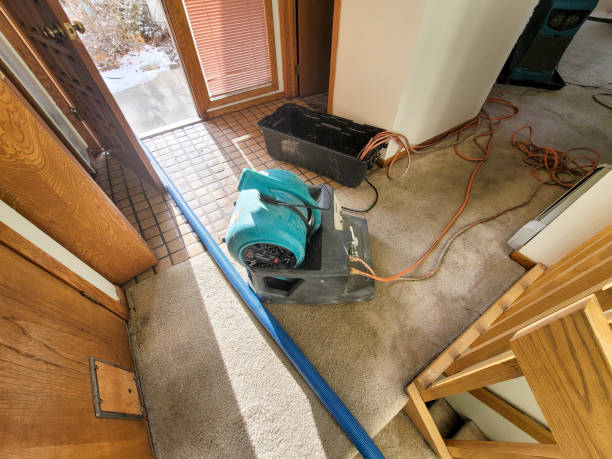 Best Basement water damage restoration  in La Conner, WA