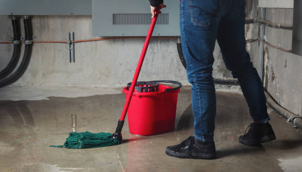 Best Mold removal after water damage  in La Conner, WA