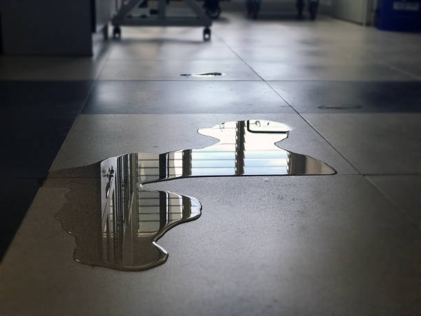 Best Water damage restoration services  in La Conner, WA