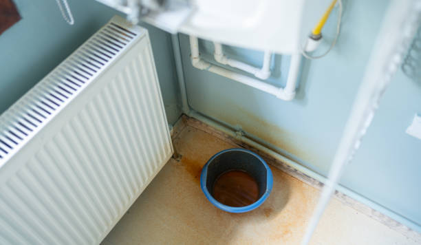 Best Water damage restoration near me  in La Conner, WA