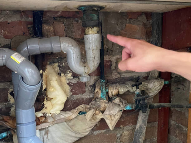 Best Water damage repair service  in La Conner, WA